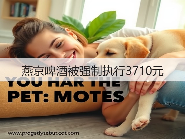 燕京啤酒被强制执行3710元(图4)