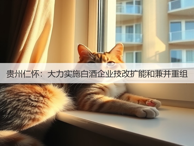 贵州仁怀：大力实施白酒企业技改扩能和兼并