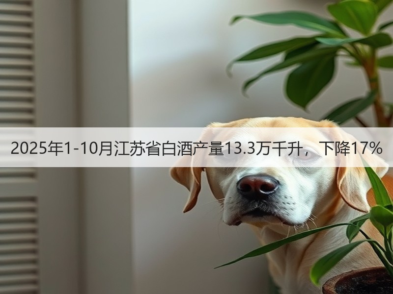 2025年1-10月江苏省白酒产量13.
