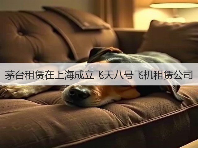 茅台租赁在上海成立飞天八号飞机租赁公司(图4)