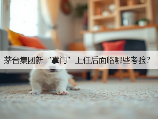 茅台集团新“掌门”上任后面临哪些考验？(图2)