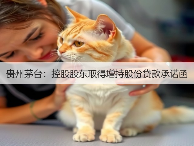 贵州茅台:控股股东取得增持股份贷款承诺函(图2) 贵州茅台:控股股东取得增持股份贷款承诺函(图2)