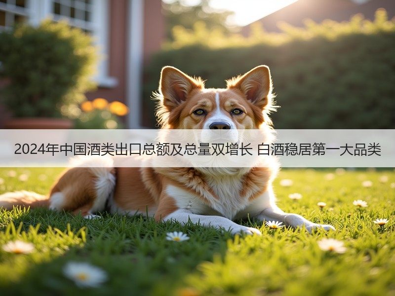 2024年中国酒类出口总额及总量双增长 