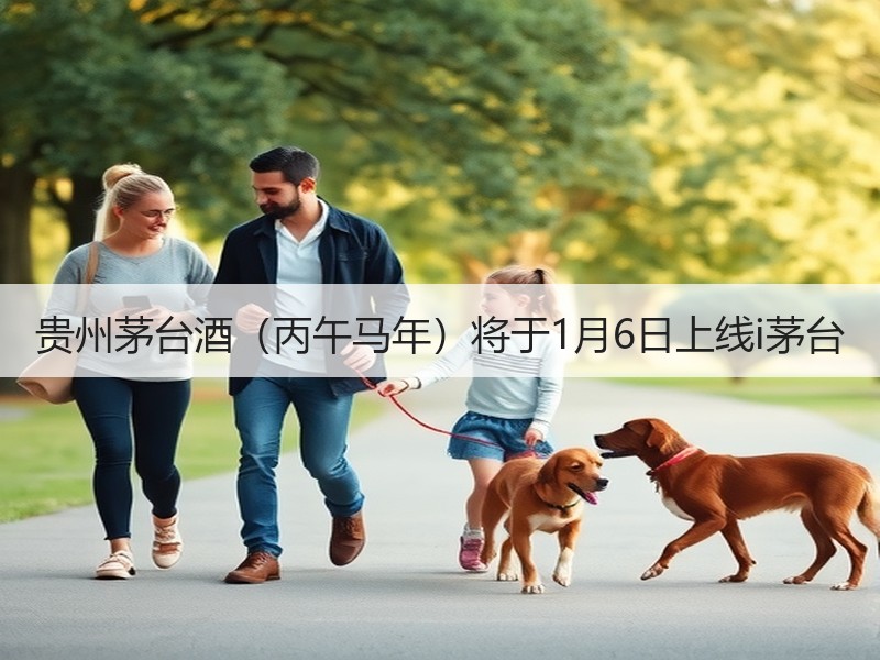 贵州茅台酒（丙午马年）将于1月6日上线i