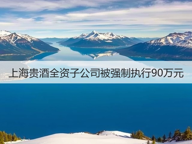 上海贵酒全资子公司被强制执行90万元(图4)