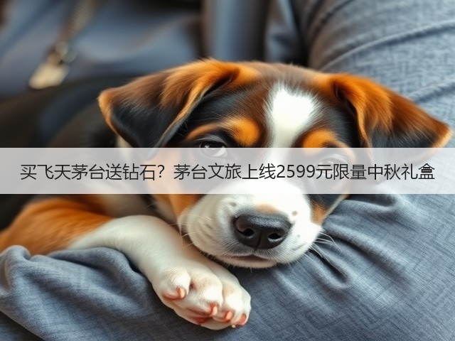 买飞天茅台送钻石？茅台文旅上线2599元限量中秋礼盒(图5)