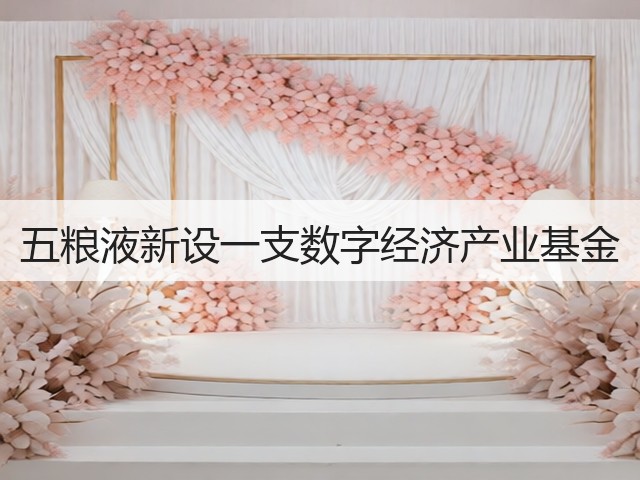 五粮液新设一支数字经济产业基金(图2)