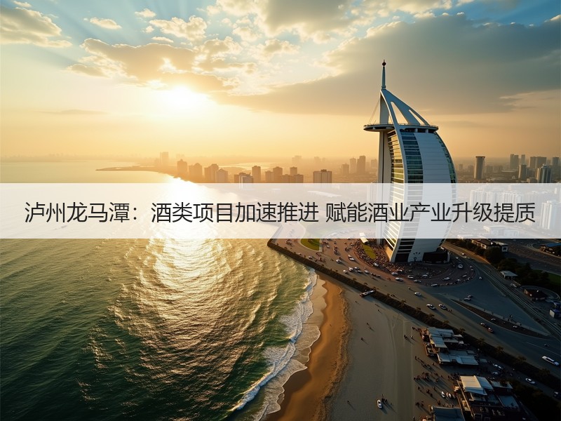 泸州龙马潭：酒类项目加速推进 赋能酒业产