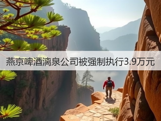 燕京啤酒漓泉公司被强制执行3.9万元(图2)