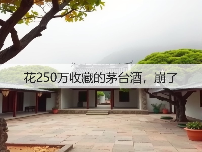 花250万收藏的茅台酒，崩了