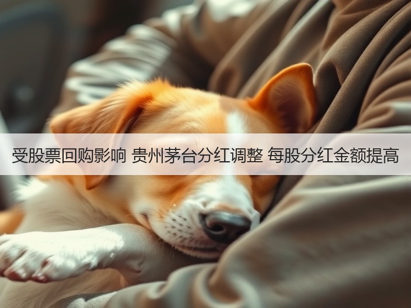 受股票回购影响 贵州茅台分红调整 每股分