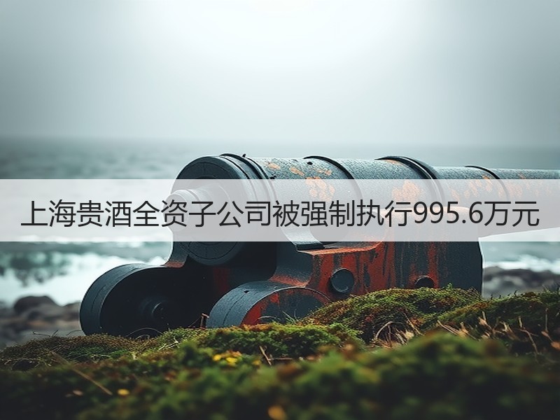 上海贵酒全资子公司被强制执行995.6万