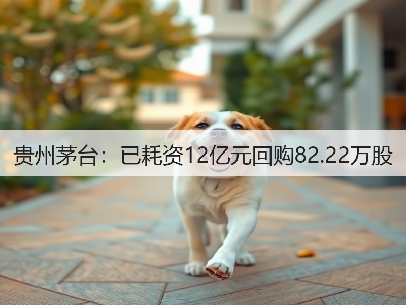 贵州茅台：已耗资12亿元回购82.22万