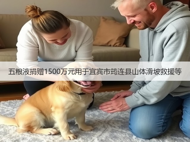 五粮液捐赠1500万元用于宜宾市筠连县山体滑坡救援等(图2) 五粮液捐赠1500万元用于宜宾市筠连县山体滑坡救援等(图2)