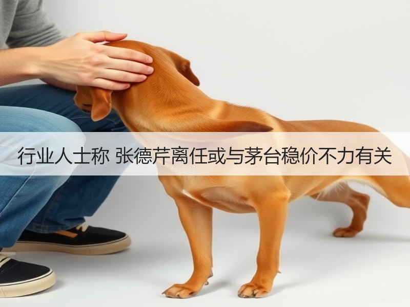 行业人士称 张德芹离任或与茅台稳价不力有