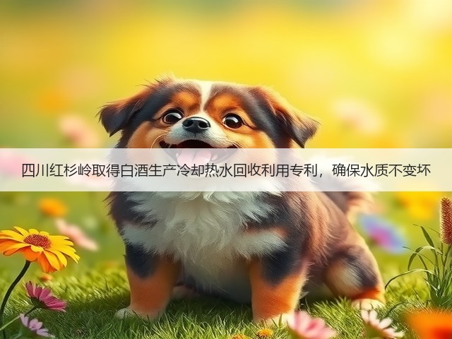 四川红杉岭取得白酒生产冷却热水回收利用专利，确保水质不变坏(图4)