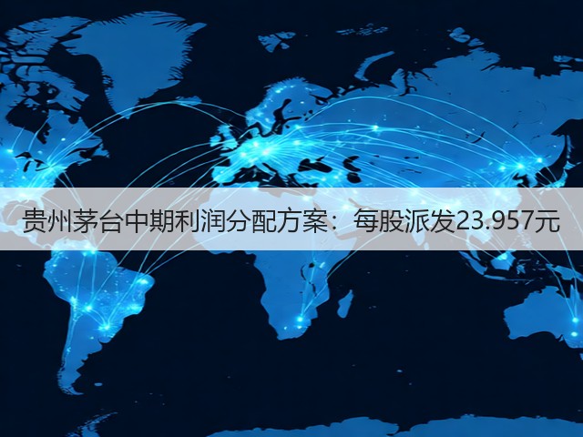 贵州茅台中期利润分配方案：每股派发23.957元(图5)