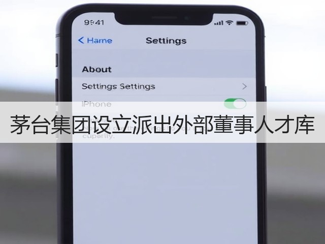 茅台集团设立派出外部董事人才库(图3)