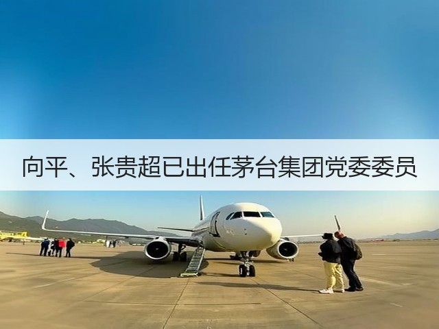 向平、张贵超已出任茅台集团党委委员(图1)