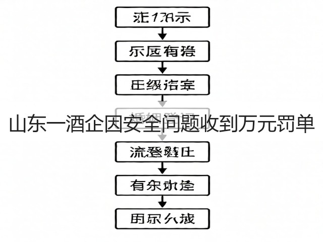 山东一酒企因安全问题收到万元罚单(图5)