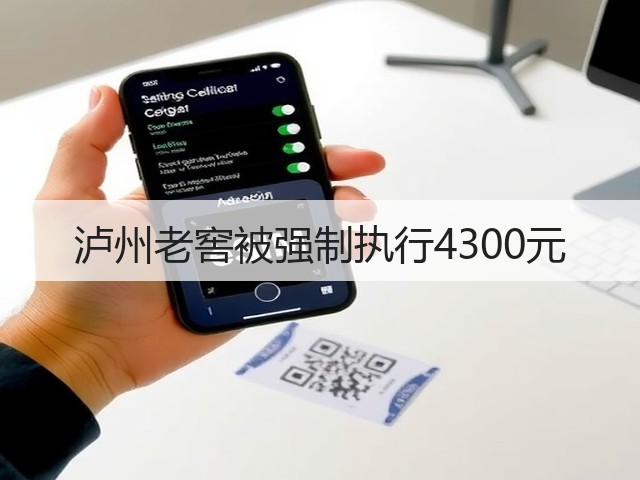 泸州老窖被强制执行4300元(图1)