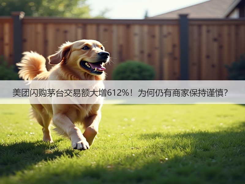 美团闪购茅台交易额大增612%！为何仍有