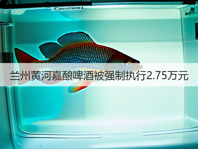 兰州黄河嘉酿啤酒被强制执行2.75万元(图2)