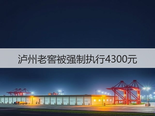泸州老窖被强制执行4300元(图4)