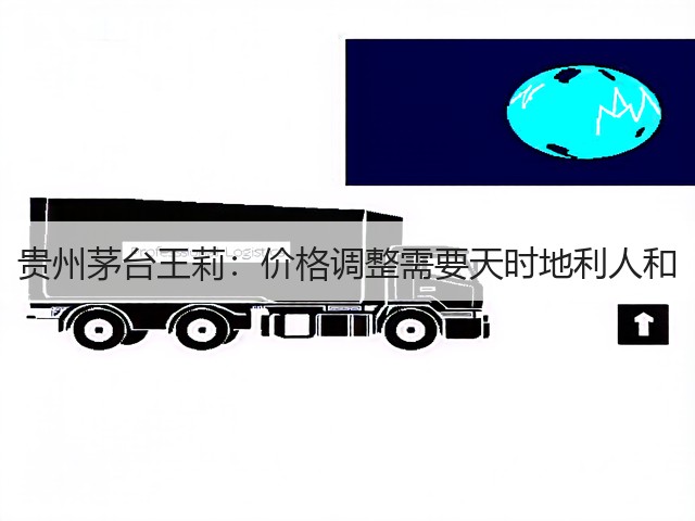 贵州茅台王莉：价格调整需要天时地利人和(图4)