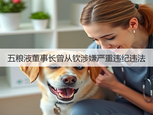五粮液董事长曾从钦涉嫌严重违纪违法(图4)