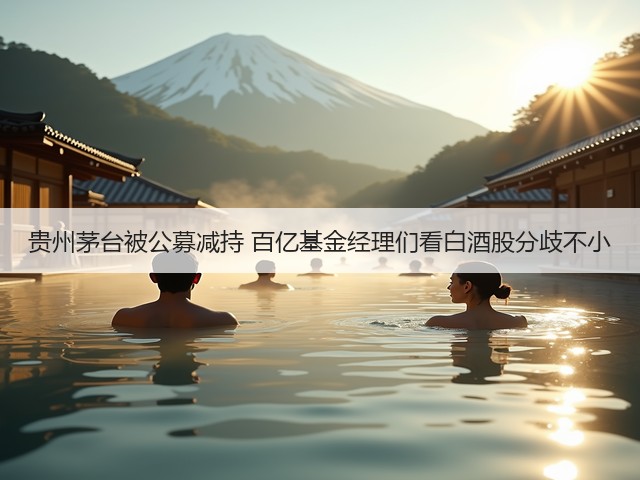 贵州茅台被公募减持 百亿基金经理们看白酒股分歧不小(图3)