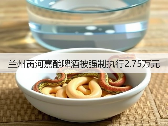 兰州黄河嘉酿啤酒被强制执行2.75万元(图1)