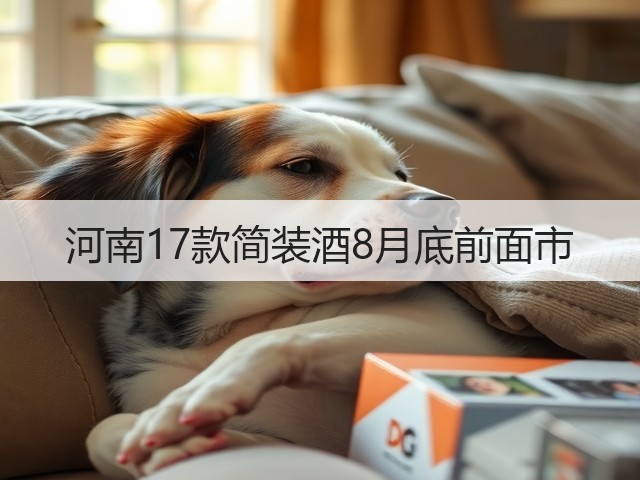 河南17款简装酒8月底前面市(图4)