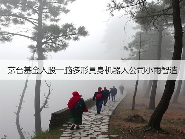 茅台基金入股一脑多形具身机器人公司小雨智造(图4)