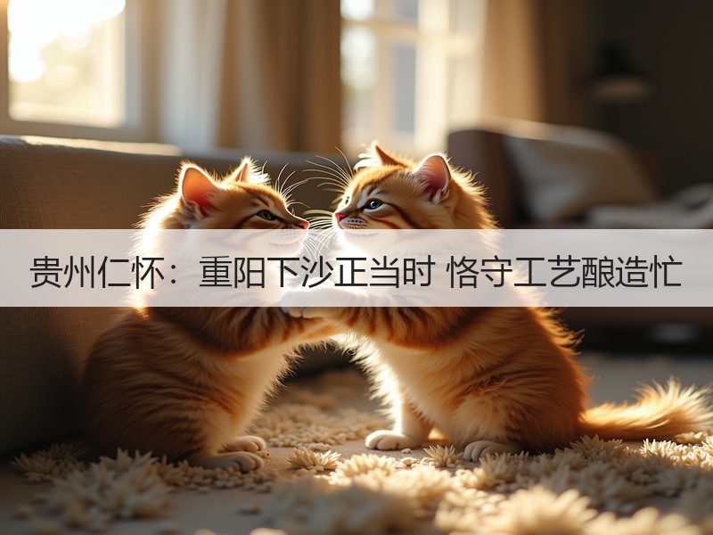 贵州仁怀：重阳下沙正当时 恪守工艺酿造忙