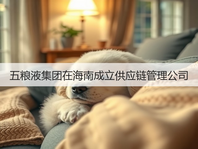 五粮液集团在海南成立供应链管理公司(图5)