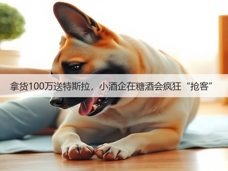 拿货100万送特斯拉，小酒企在糖酒会疯狂