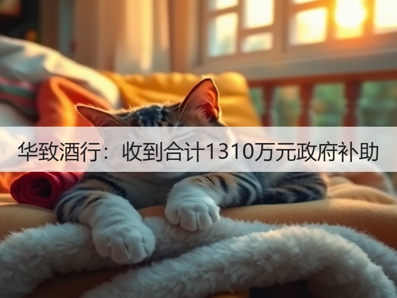 华致酒行：收到合计1310万元政府补助