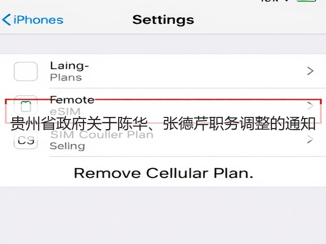 贵州省政府关于陈华、张德芹职务调整的通知(图2)
