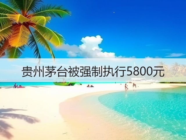 贵州茅台被强制执行5800元(图1)