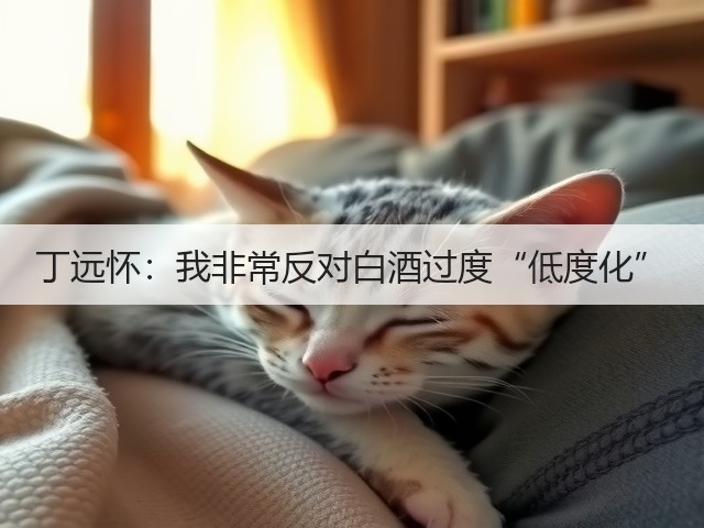 丁远怀：我非常反对白酒过度“低度化”(图4)
