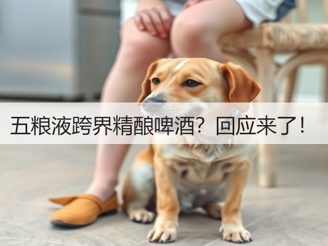 五粮液跨界精酿啤酒？回应来了！(图3)
