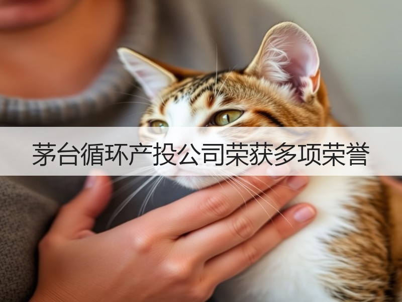 茅台循环产投公司荣获多项荣誉