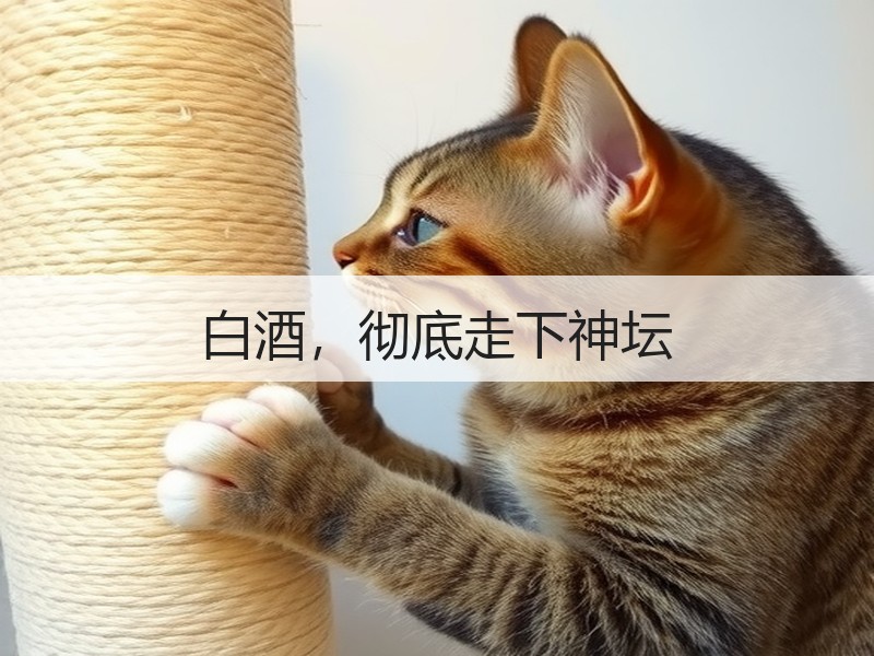 白酒，彻底走下神坛