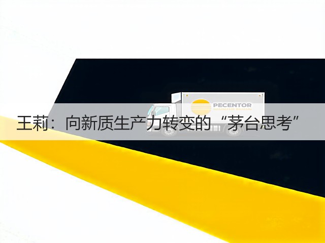 王莉：向新质生产力转变的“茅台思考”(图1)