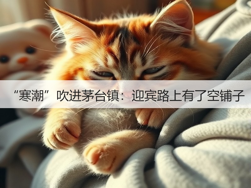 “寒潮”吹进茅台镇：迎宾路上有了空铺子