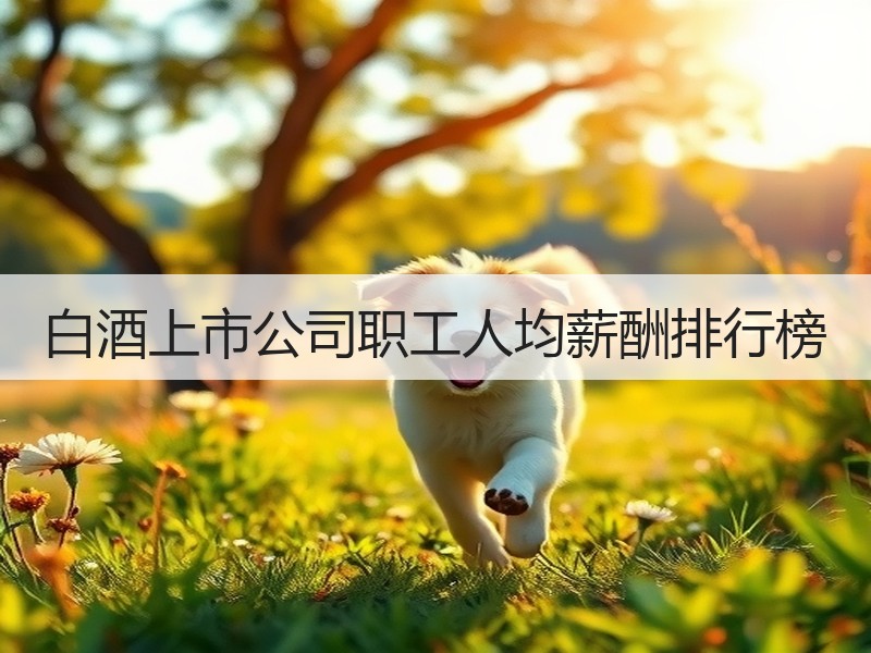 白酒上市公司职工人均薪酬排行榜