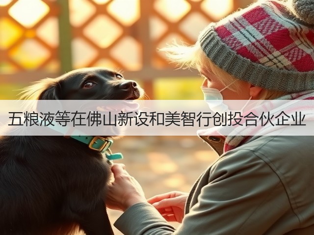 五粮液等在佛山新设和美智行创投合伙企业(图4)