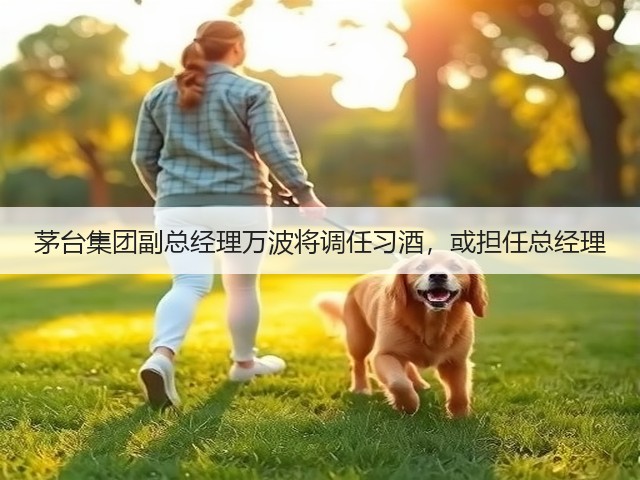 茅台集团副总经理万波将调任习酒，或担任总经理(图2)