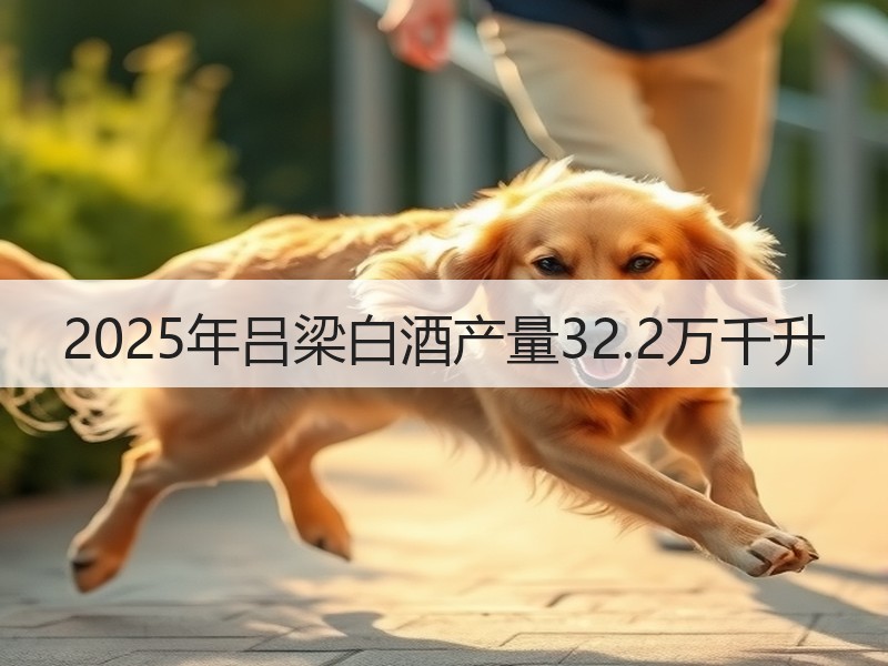 2025年吕梁白酒产量32.2万千升